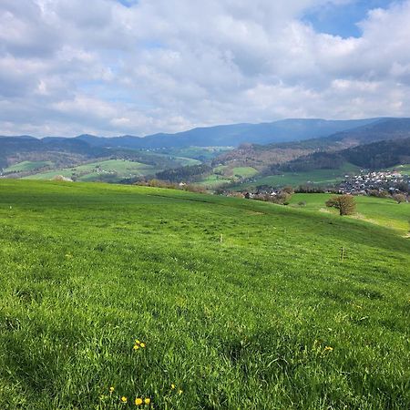 Ferienwohnung Herzlicht Titisee-Neustadt Kültér fotó