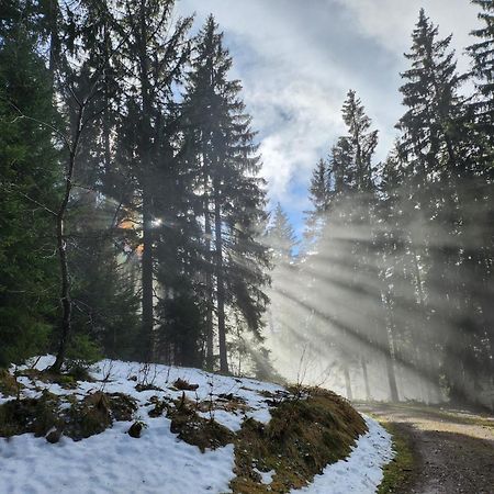Ferienwohnung Herzlicht Titisee-Neustadt Kültér fotó