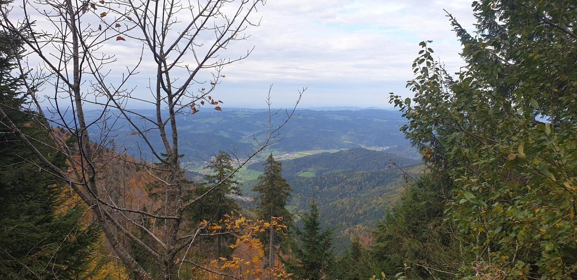 Ferienwohnung Herzlicht Titisee-Neustadt Kültér fotó