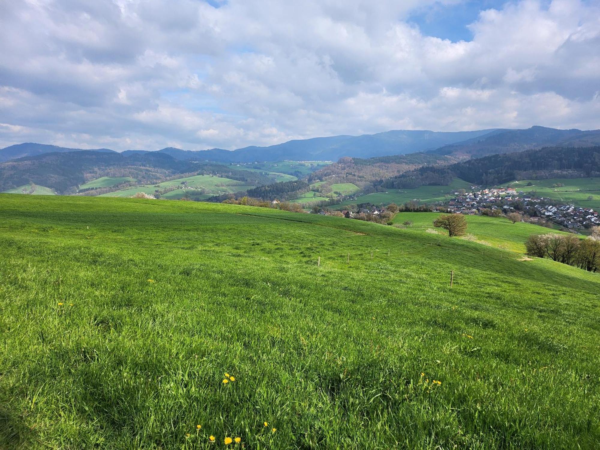 Ferienwohnung Herzlicht Titisee-Neustadt Kültér fotó